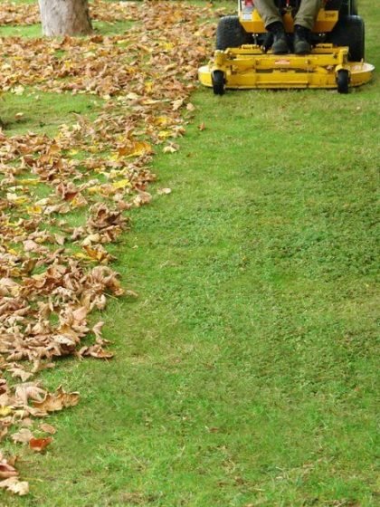 fall-cleanup fall-cleanup